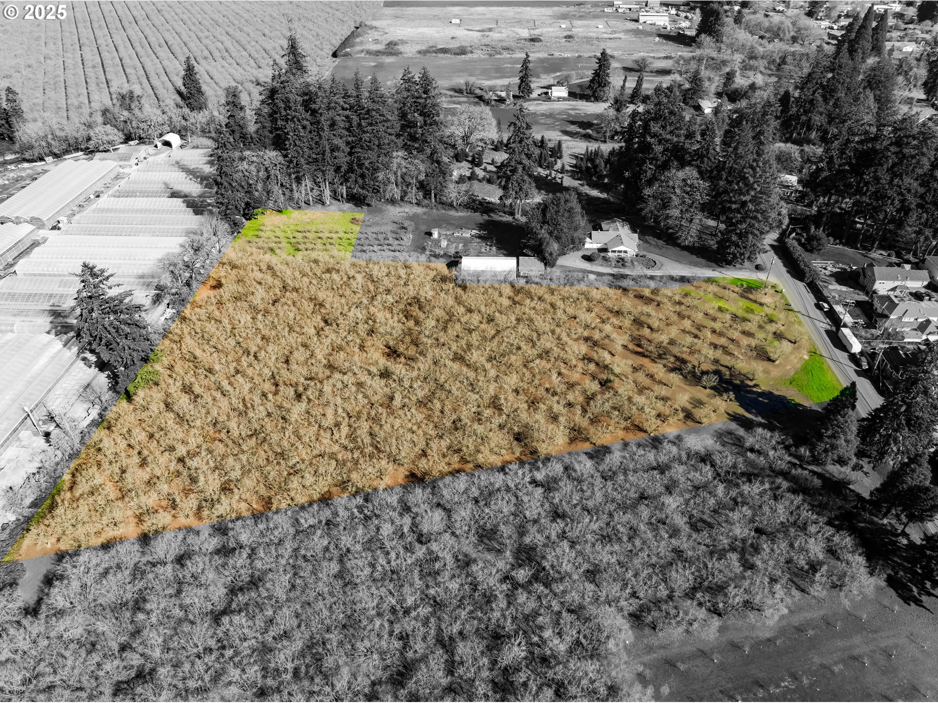 East Beacon Drive Junction City, OR 97448 - Photo 15 of 22