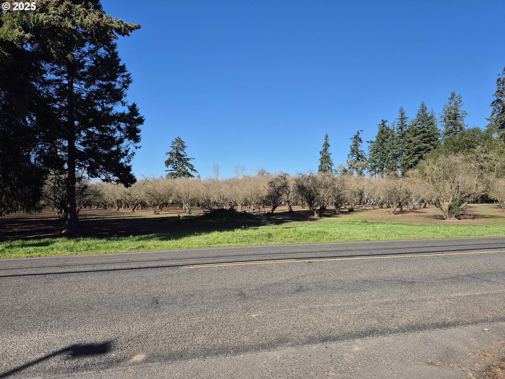 East Beacon Drive Junction City, OR 97448 - Photo 3 of 22