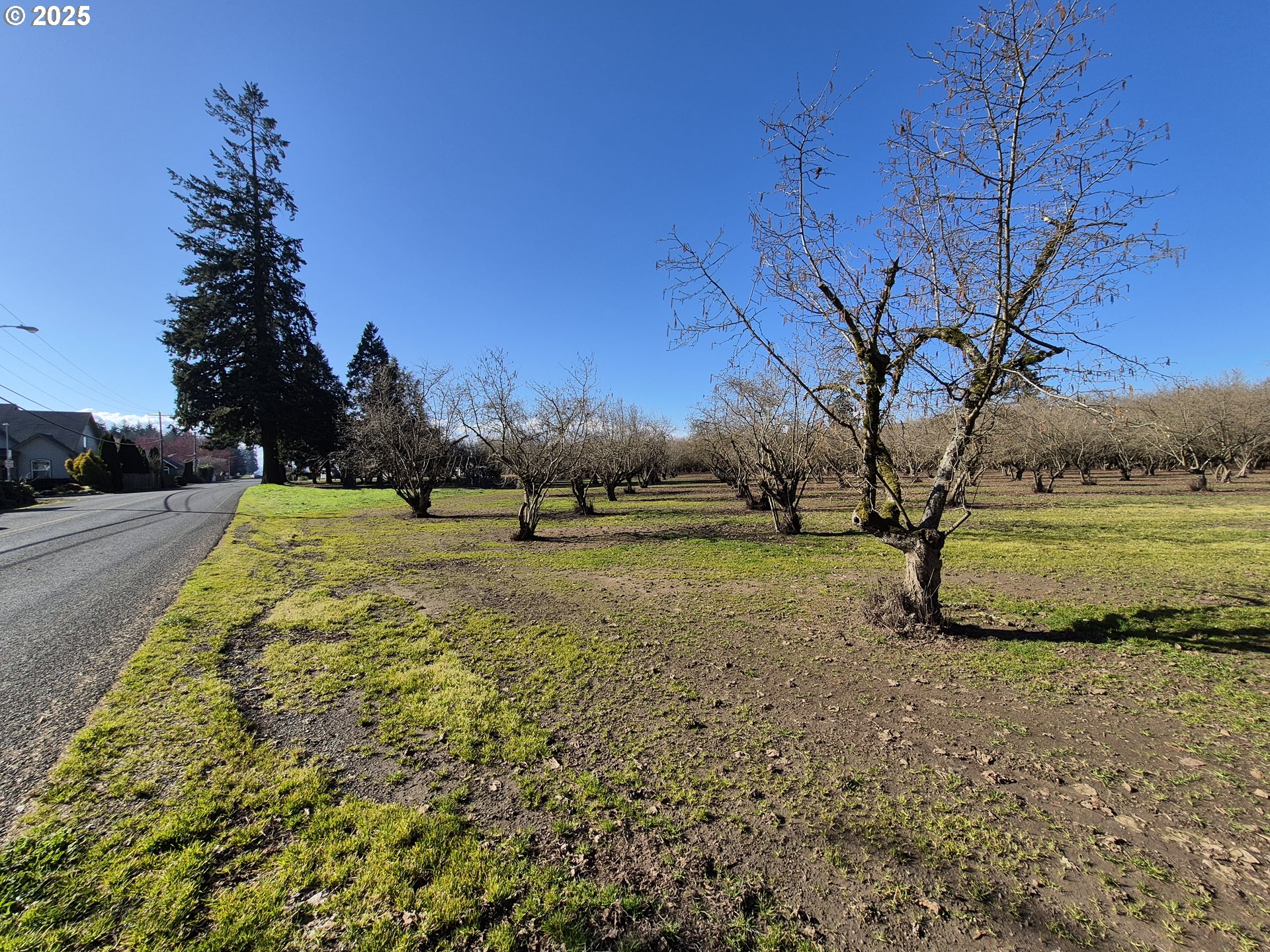 East Beacon Drive Junction City, OR 97448 - Photo 4 of 22