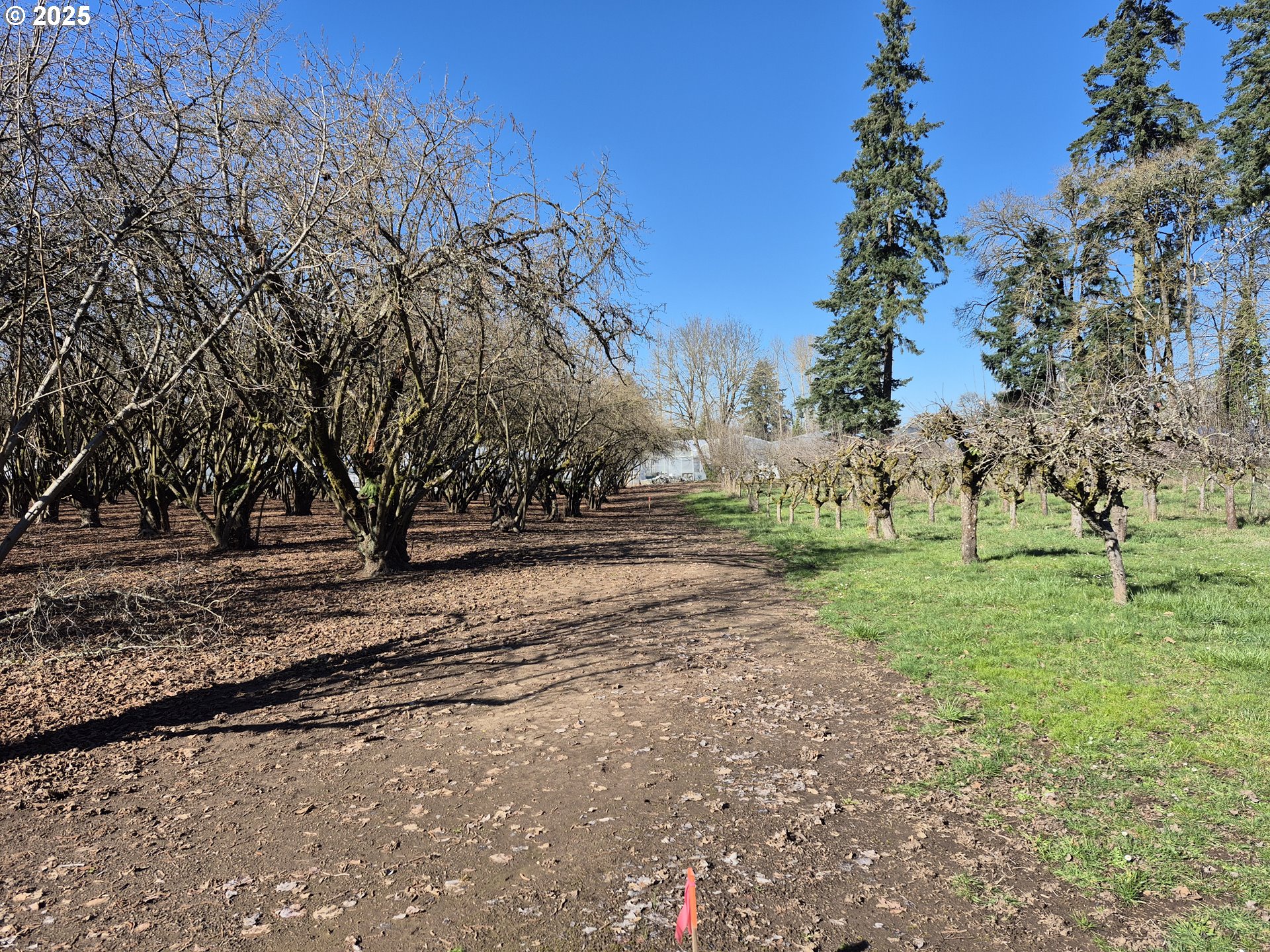 East Beacon Drive Junction City, OR 97448 - Photo 8 of 22