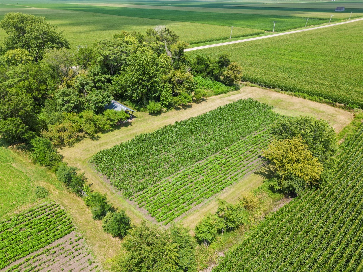 914 North 41st Road Mendota, IL 61342 - Photo 18 of 18 a view of a green field