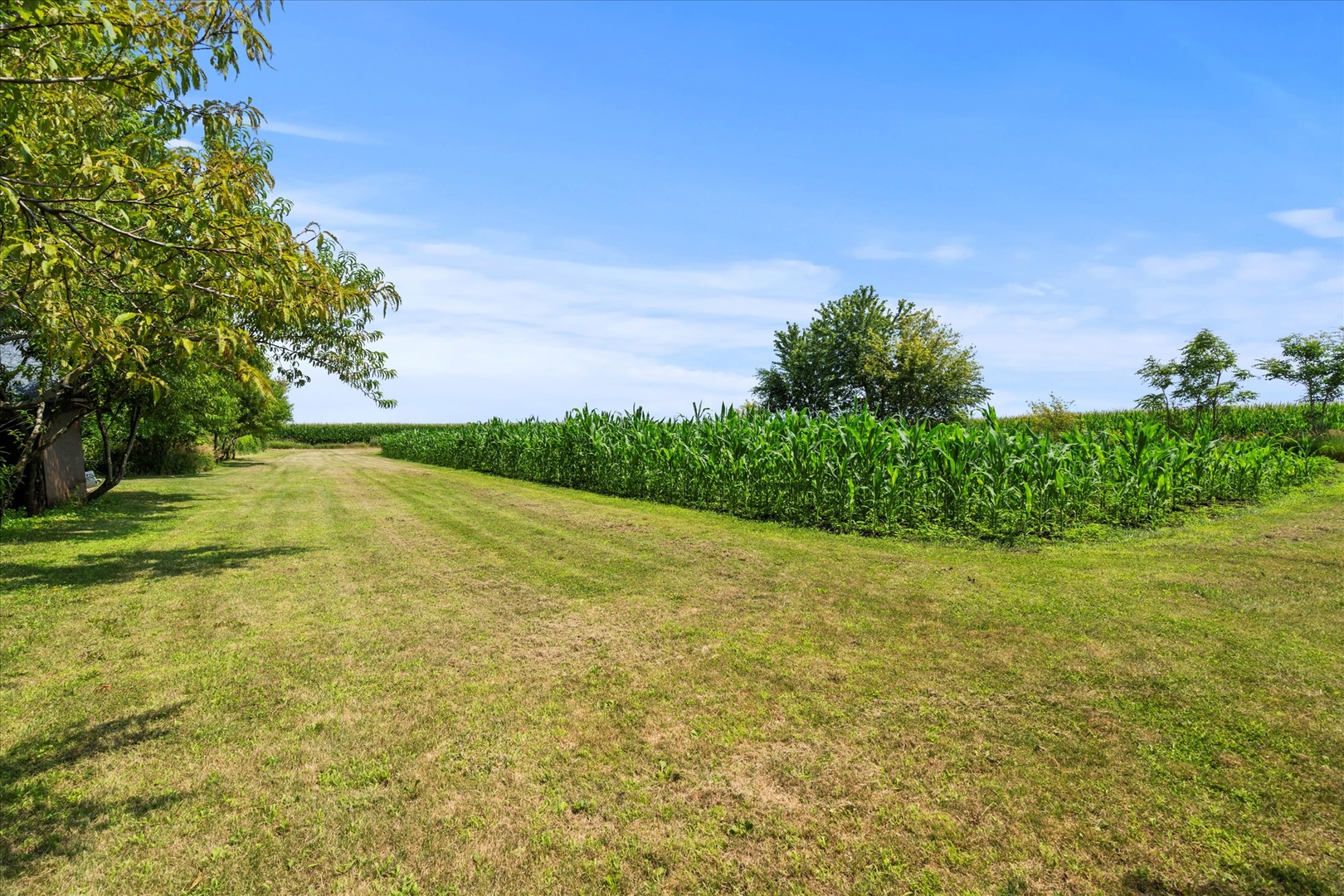 914 North 41st Road Mendota, IL 61342 - Photo 5 of 18 a view of a yard with an outdoor space