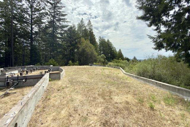 1374 Weston Ridge Road Scotts Valley, CA 95066 - Photo 12 of 28 Gallery Image 12