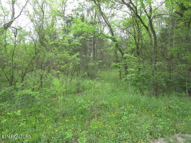 $49,900 | Silent Lane, Rutledge, TN 37861