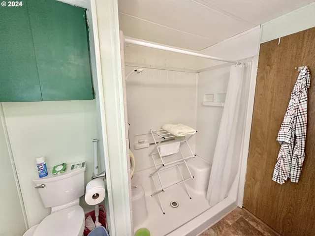 a bathroom with a shower and toilet