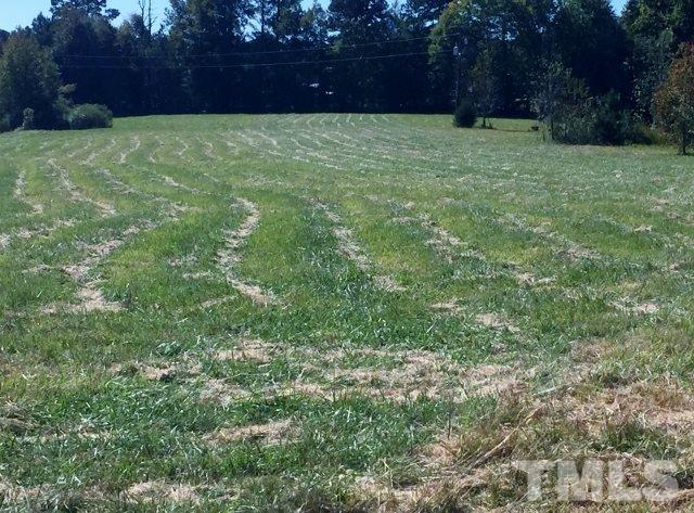 95 Weldon Goodwin Road Henderson, NC 27537 - Photo 11 of 12 Gallery Image 11