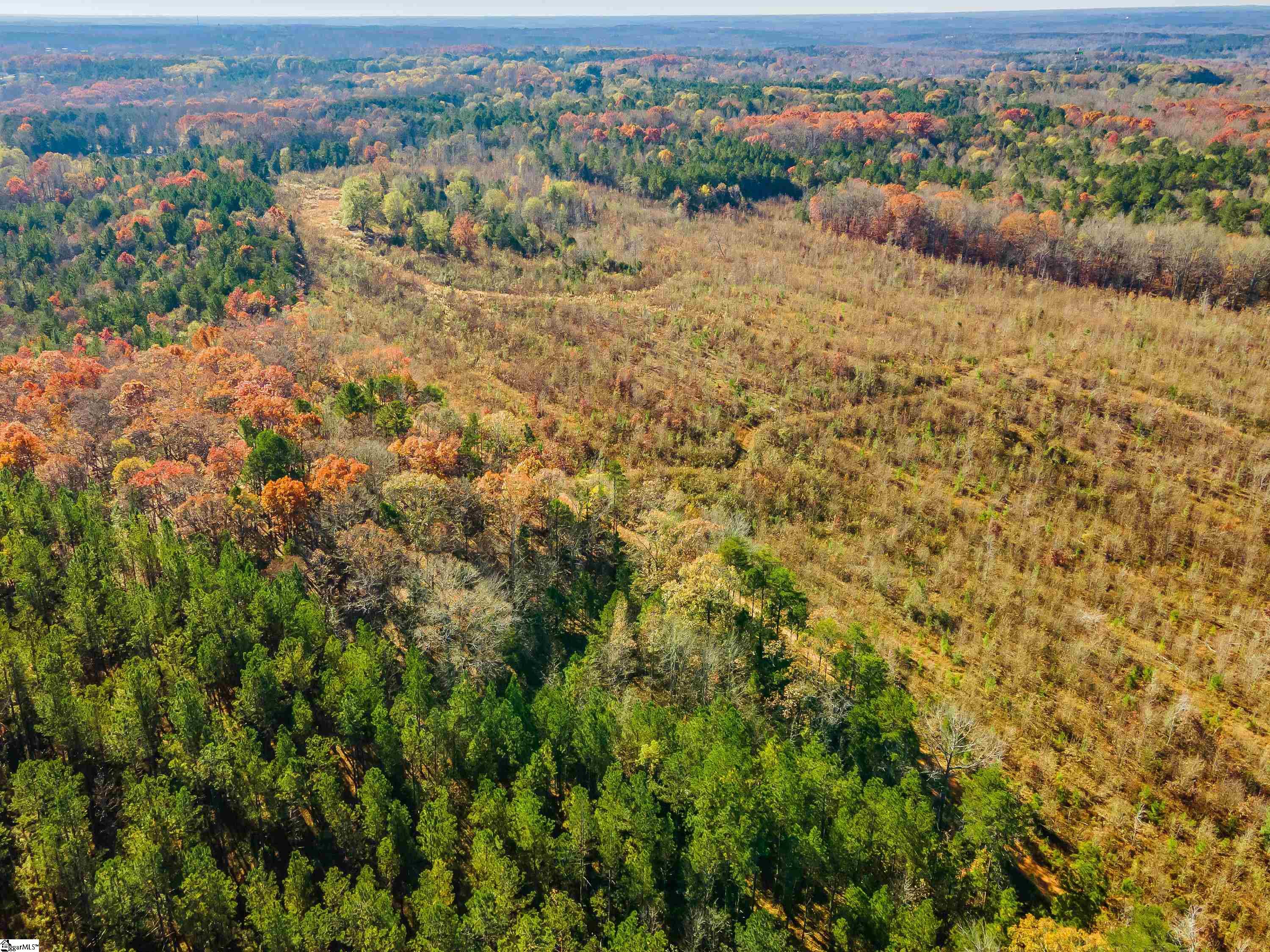 0 Rocky Ridge Road, Unit LOT 7 Woodruff, SC 29388 - Photo 9 of 16