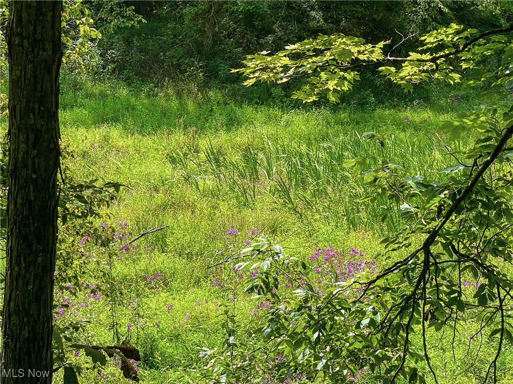 226 Banner Hill Road Spencer, WV 25276 - Photo 27 of 35