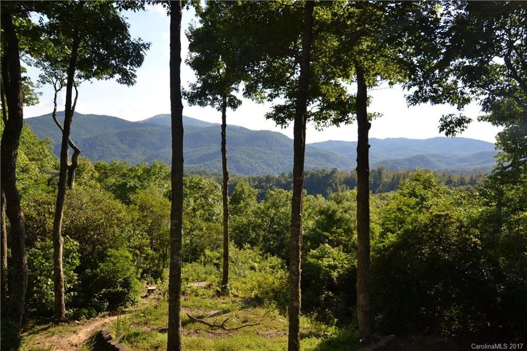 25 Rocky Knob Road Fairview, NC 28730 - Photo 3 of 24 Gallery Image 3