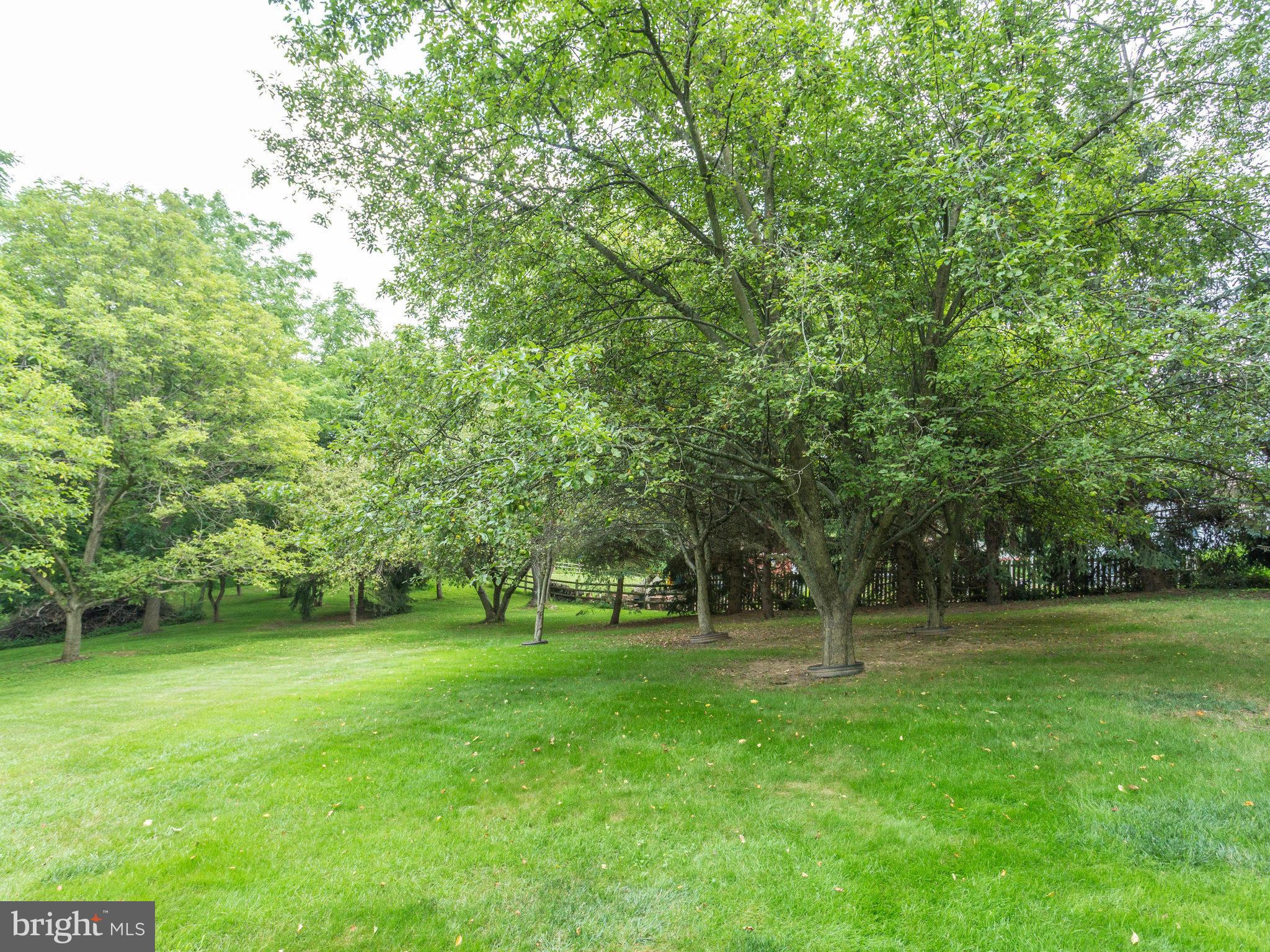5697 Linton Road Sykesville, MD 21784 - Photo 29 of 30 Gorgeous Yard