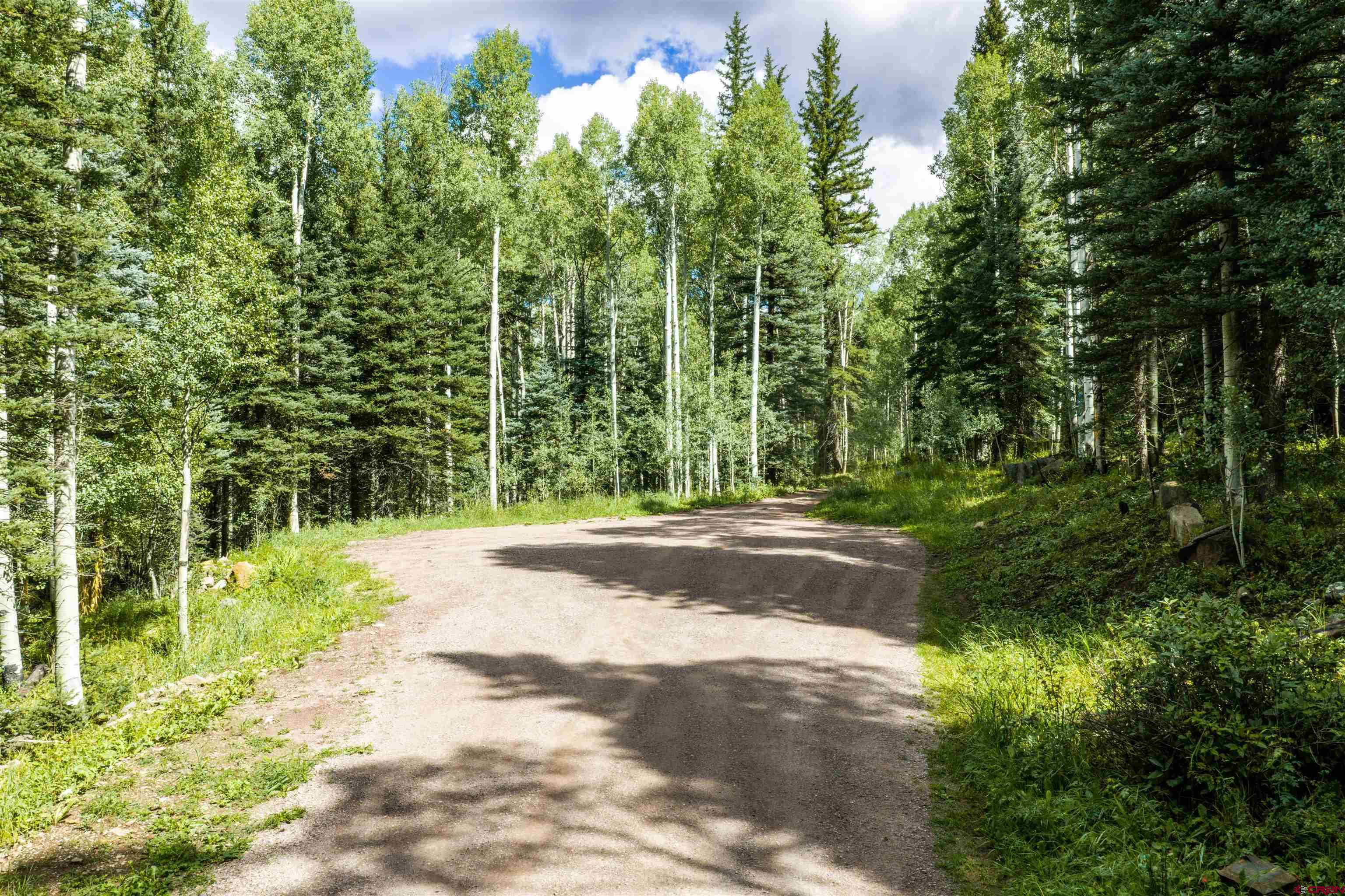 55.9 Road 55.9 Rico, CO 81332 - Photo 2 of 17 Gallery Image 2