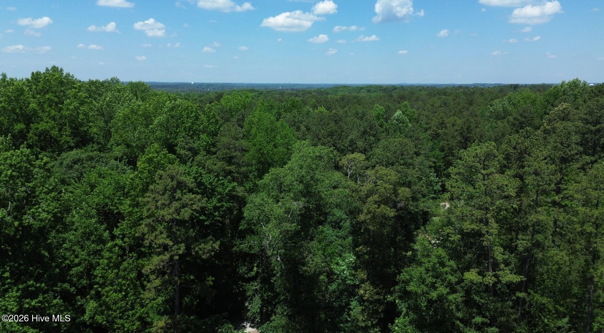 10466 Moores Chapel Road Charlotte, NC 28214 - Photo 19 of 50 Aerial Tree Line 1