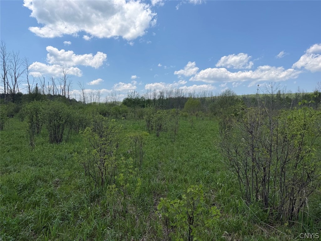 Buttermilk Road South Dayton, NY 14138 - Photo 8 of 26