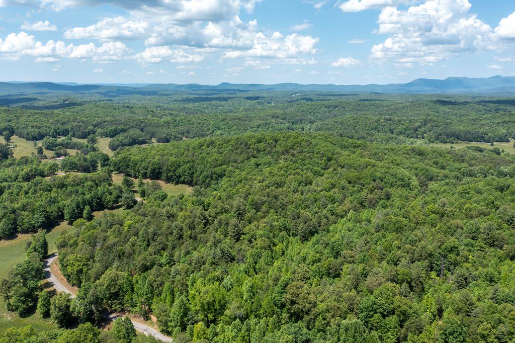 20-ac Pack Mountain Road Murphy, NC 28906 - Photo 19 of 20