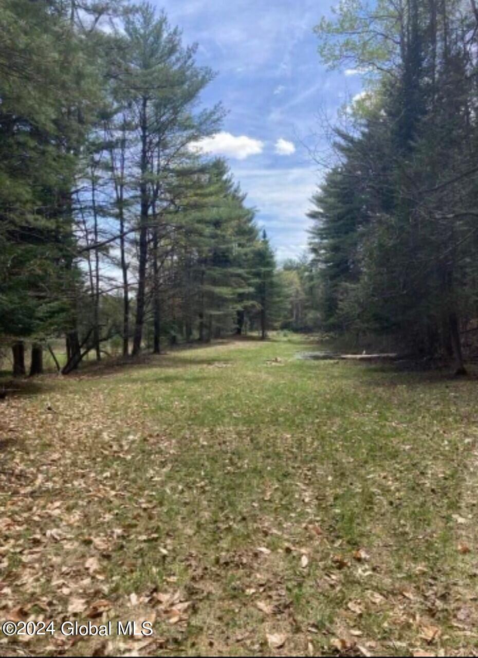 29 Walter Foote Road Chester, NY 12853 - Photo 25 of 34 thumbnail_IMG_3087