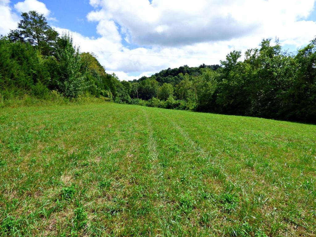 2 Cody Road White Pine, TN 37890 - Photo 1 of 4 Gallery Image 1