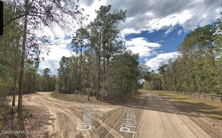 a view of a yard with tree s