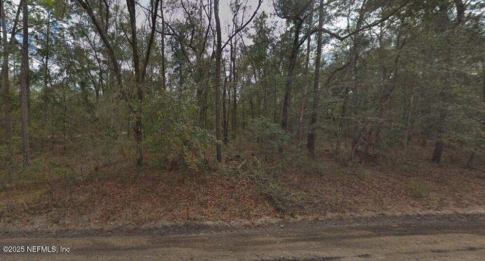 0 Pilchard Road Florahome, FL 32140 - Photo 3 of 5