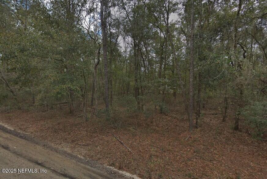 0 Pilchard Road Florahome, FL 32140 - Photo 4 of 5 a view of a bathroom with shower