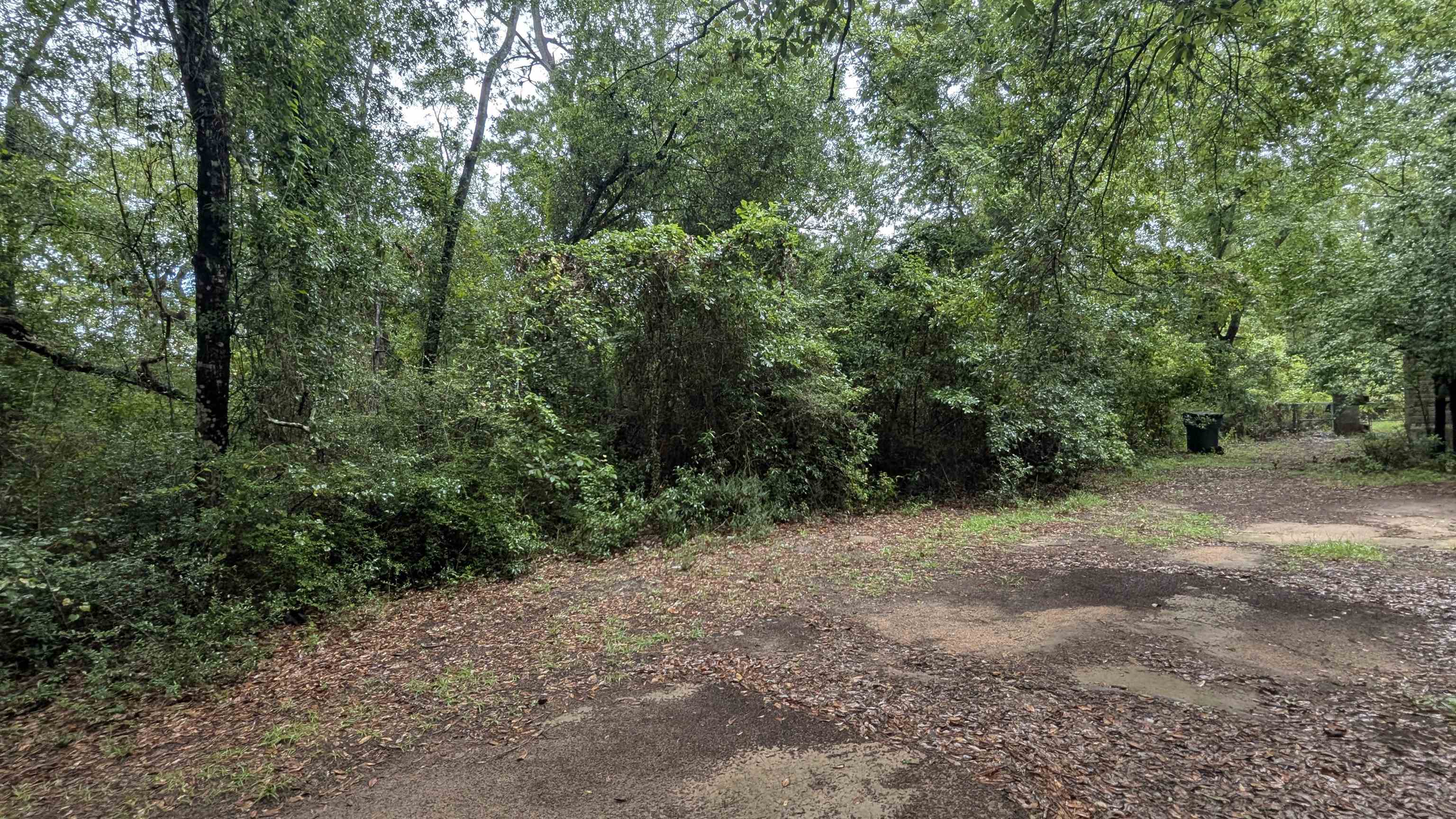 12660 3rd Avenue Foley, AL 36535 - Photo 7 of 8