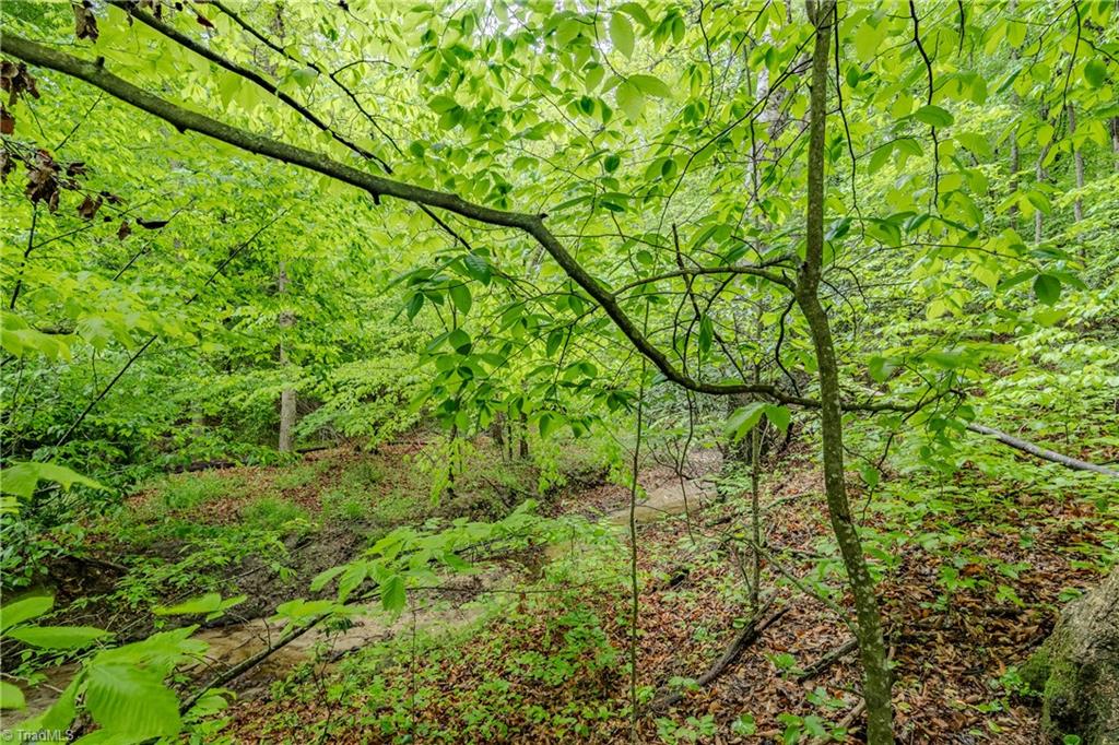 Tbd Splendor Lane Mount Airy, NC 27030 - Photo 11 of 11