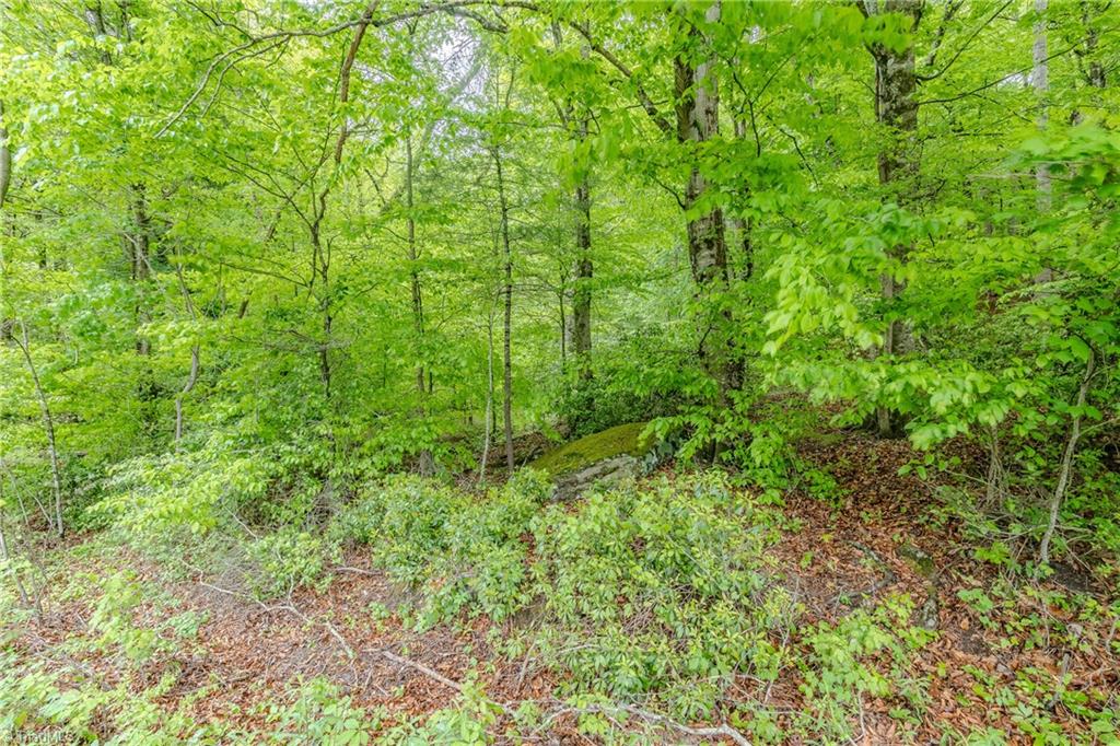 Tbd Splendor Lane Mount Airy, NC 27030 - Photo 10 of 11