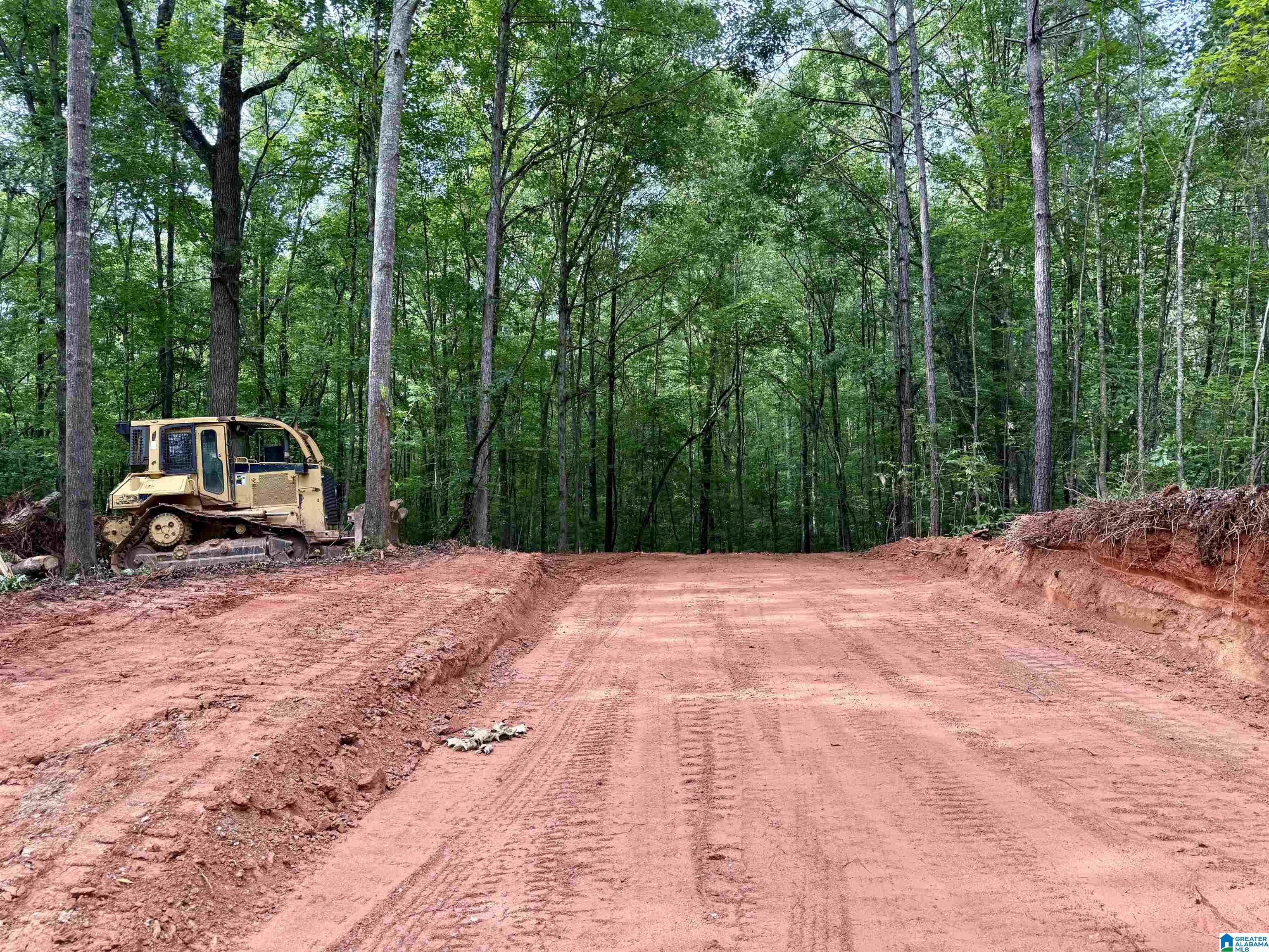 0 Settlement Road Sylacauga, AL 35150 - Photo 10 of 16