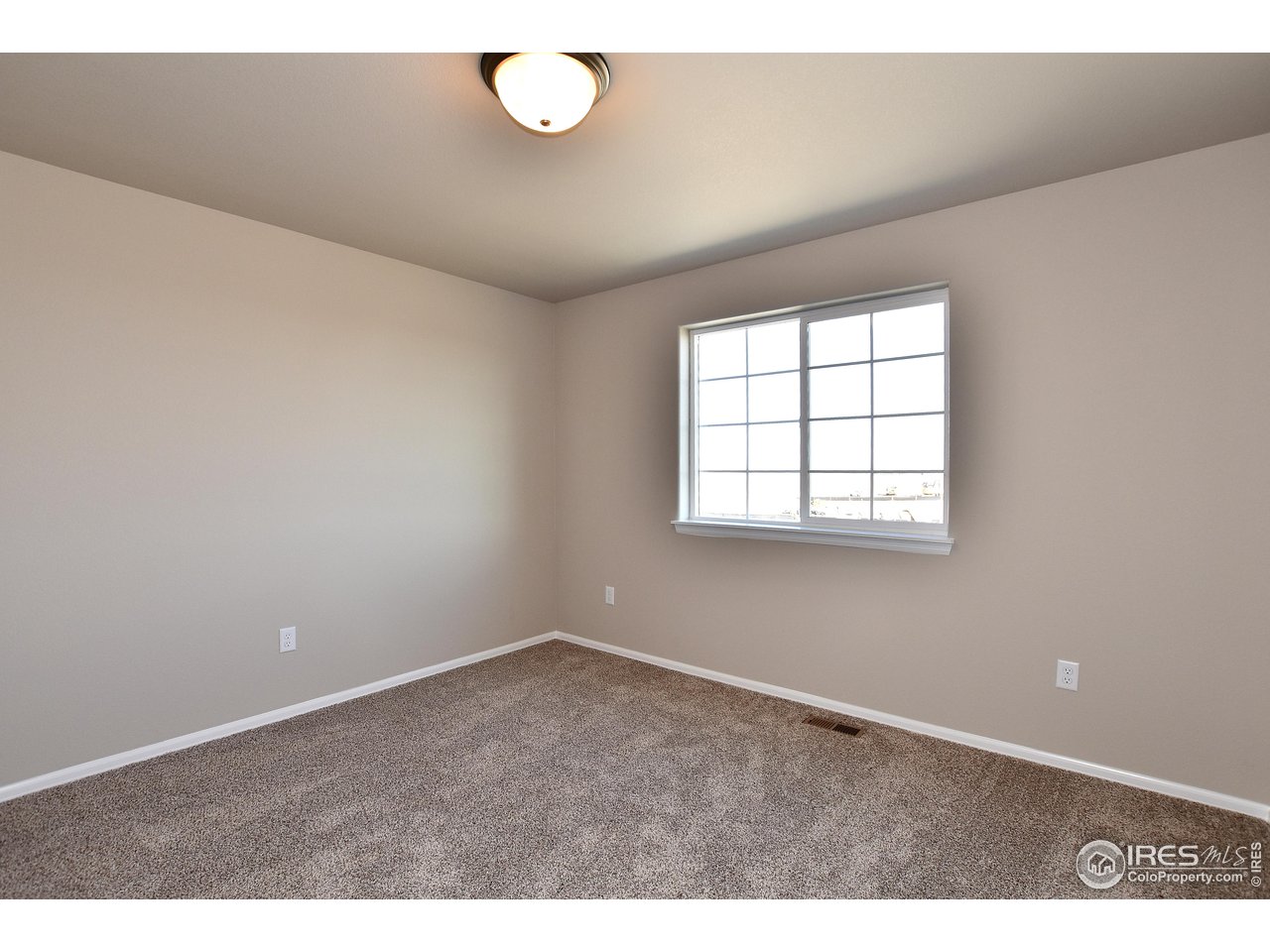 2375 Sublime Drive Windsor, CO 80550 - Photo 26 of 38