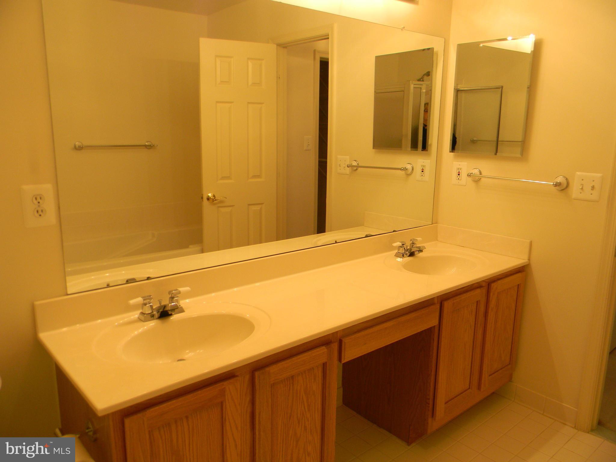 2442 Rippling Brook Road Frederick, MD 21701 - Photo 19 of 30 a bathroom with a sink and a mirror