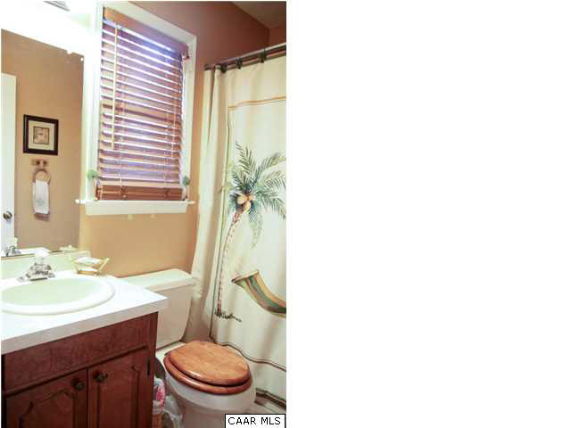 55 Amethyst Road Palmyra, VA 22963 - Photo 21 of 30 a bathroom with a sink and a toilet
