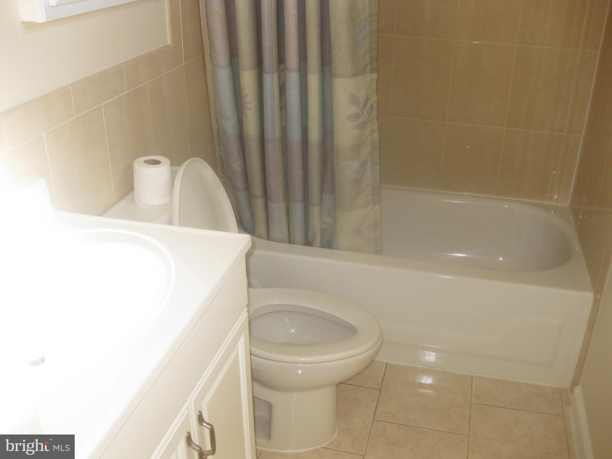 1523 Baldwin Street Baltimore, MD 21211 - Photo 9 of 16 Bath