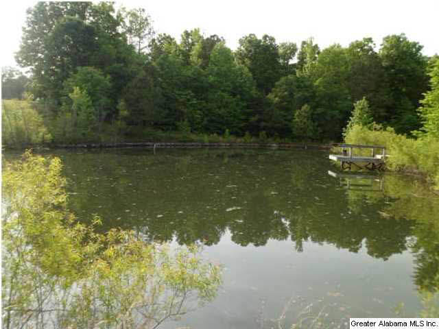 2794 Warrior Valley Road Altoona, AL 35952 - Photo 6 of 17