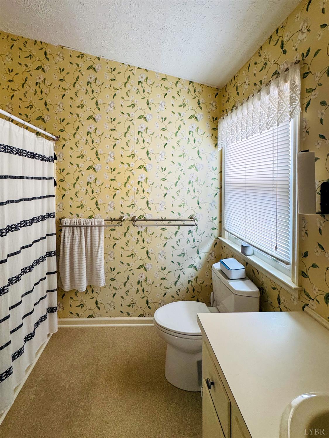 1002 Oxford Point Road Lynchburg, VA 24503 - Photo 31 of 33