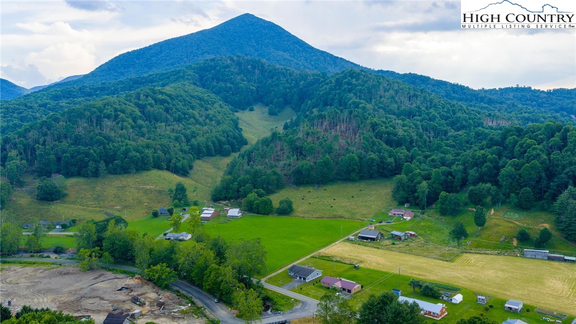 898 3 Top Road Creston, NC 28615 - Photo 44 of 48 a view of a garden with mountains in the back