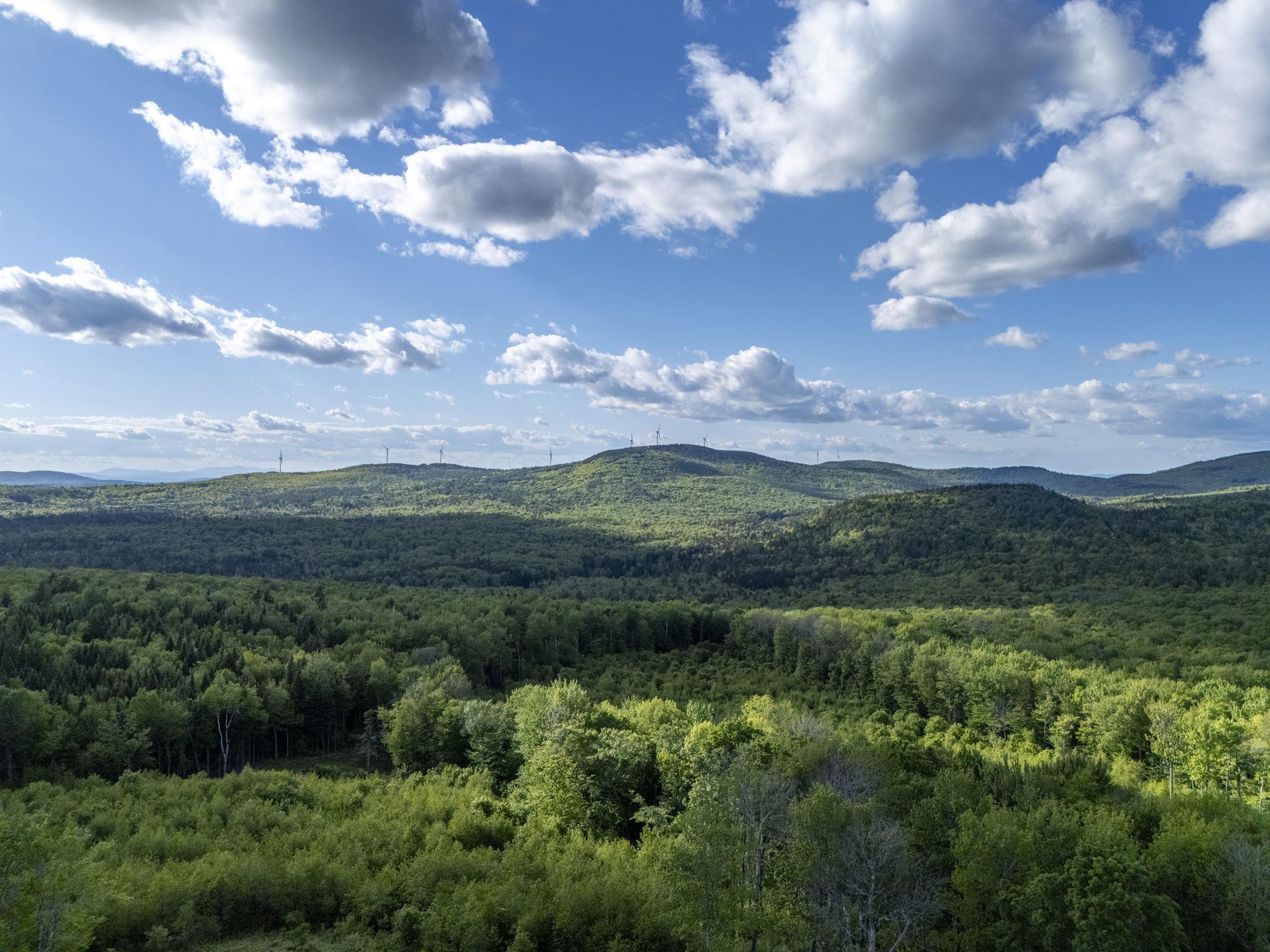 179 Washington Heights Road Washington, NH 03280 - Photo 4 of 53