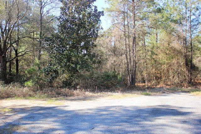 0 Ricky Lane Blackshear, GA 31516 - Photo 1 of 1 Gallery Image 1