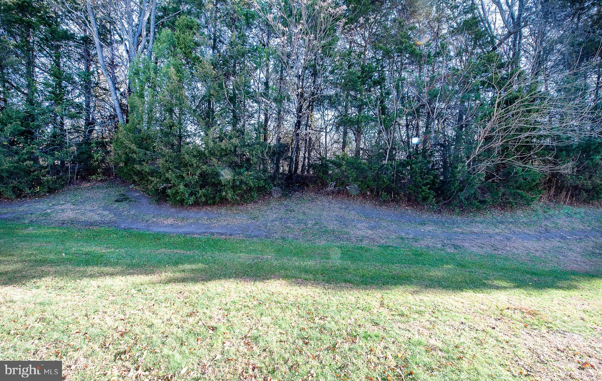1010 Huntingdon Mews Clementon, NJ 08021 - Photo 13 of 19 a view of a backyard with plants and large trees