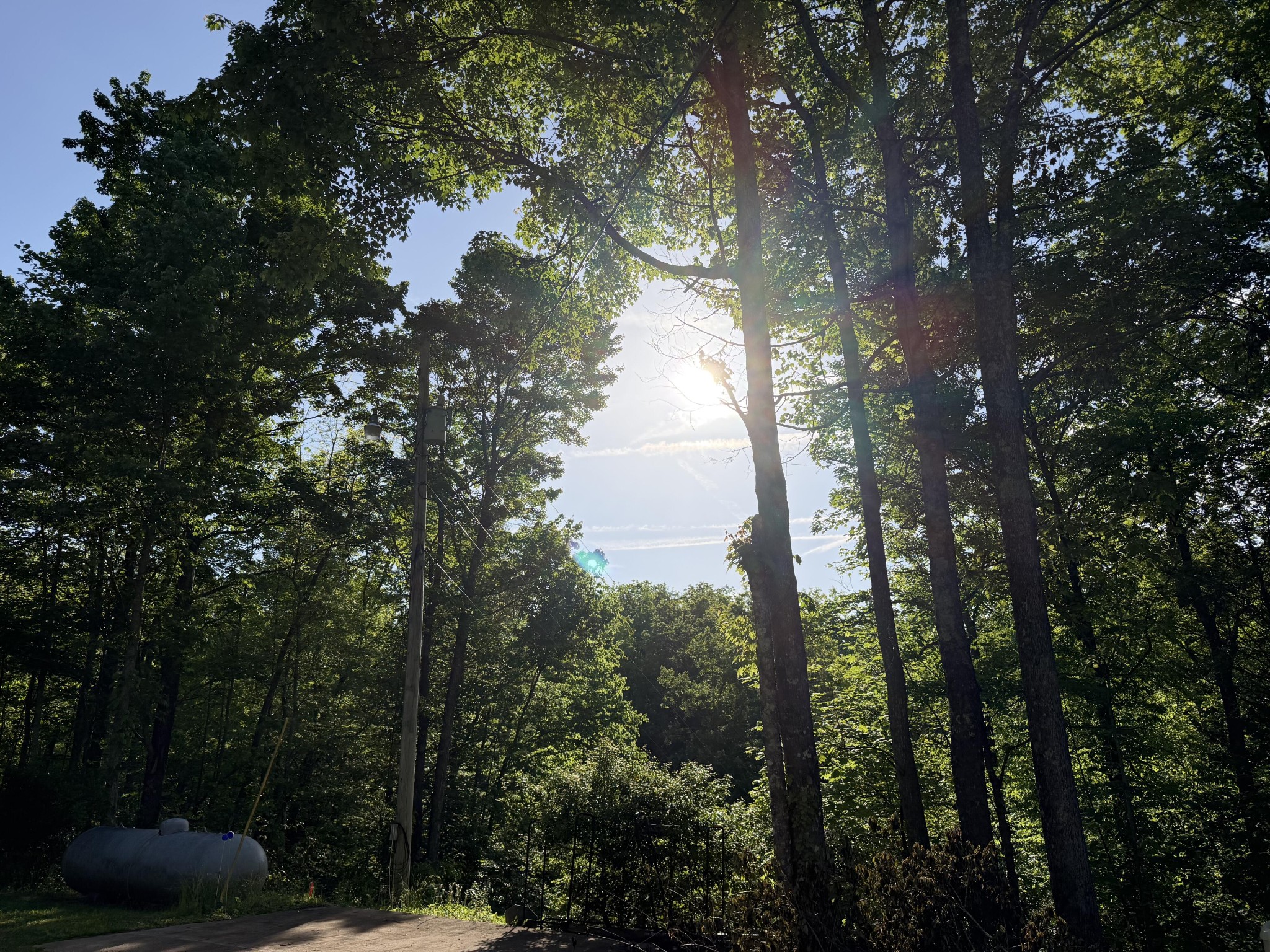 5475 Otto Williams Road Cosby, TN 37722 - Photo 46 of 46
