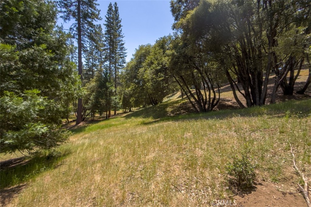 2397 Parmabelle Road Mariposa, CA 95338 - Photo 15 of 34 a view of a yard