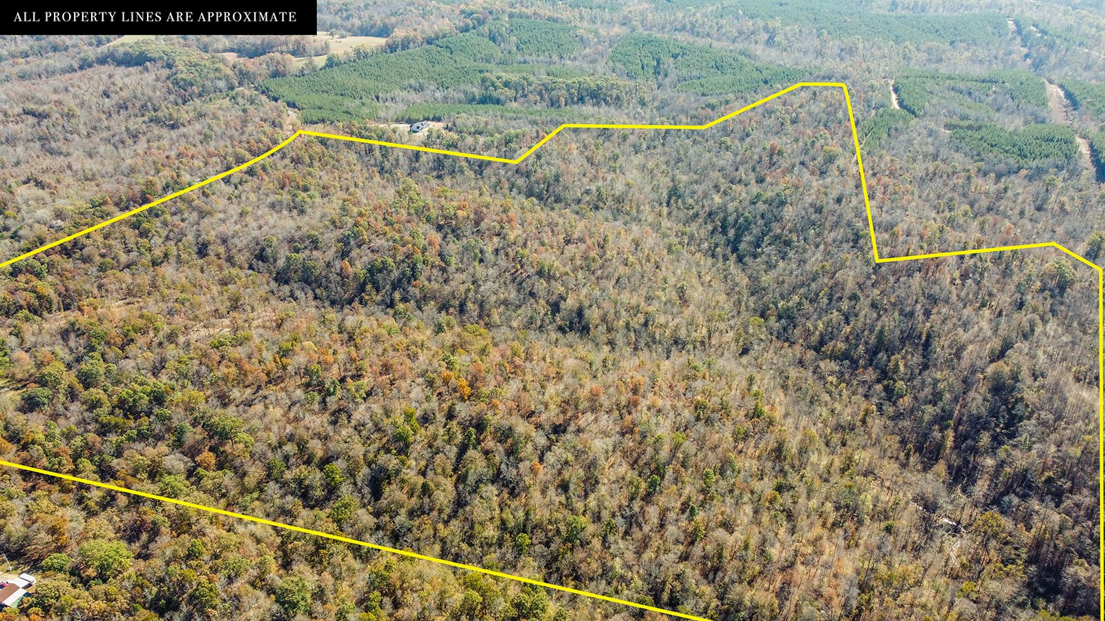 0 Dunaway Ridge Road Dover, TN 37058 - Photo 2 of 4 Gallery Image 2