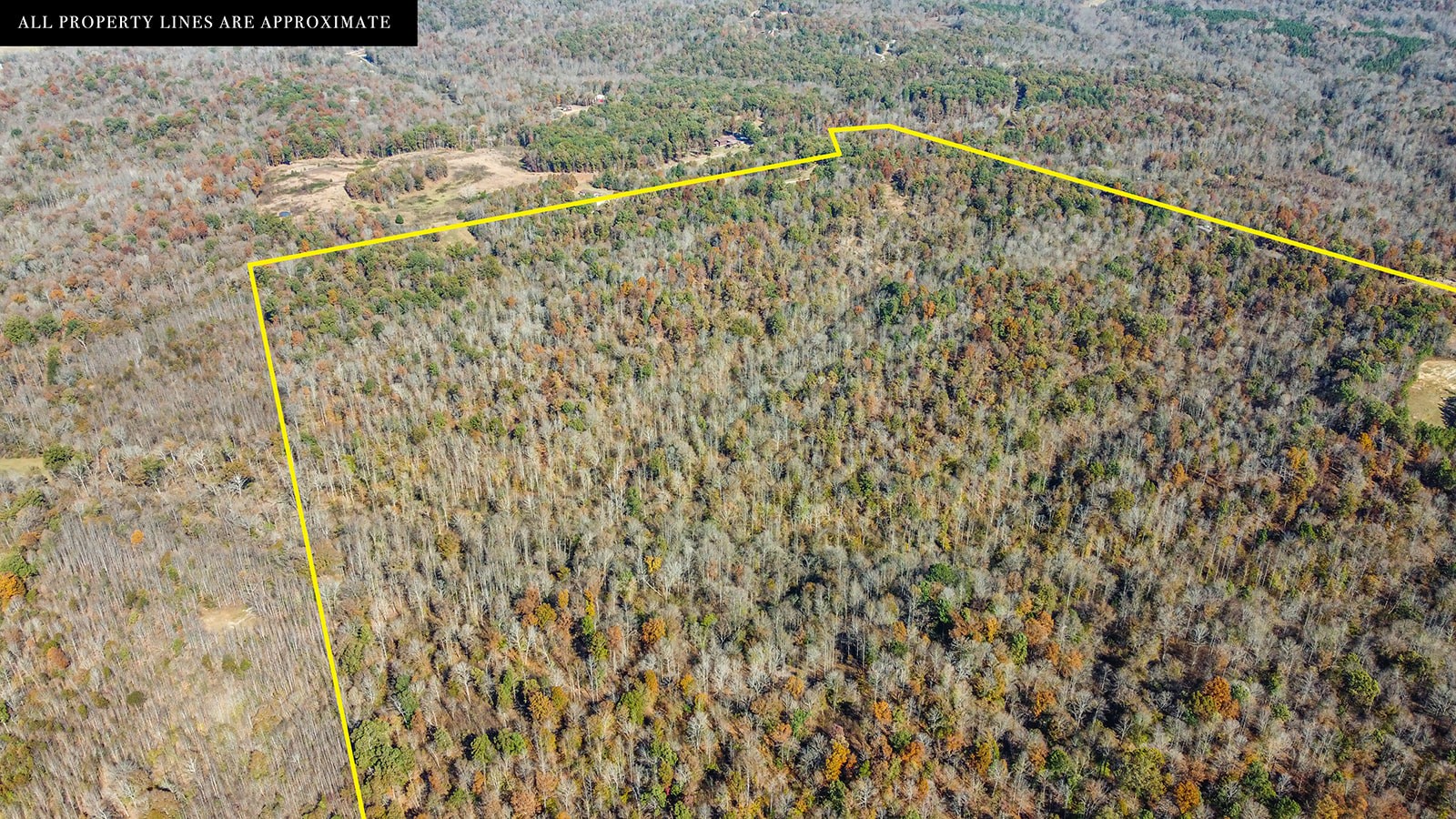 0 Dunaway Ridge Road Dover, TN 37058 - Photo 3 of 4 Gallery Image 3