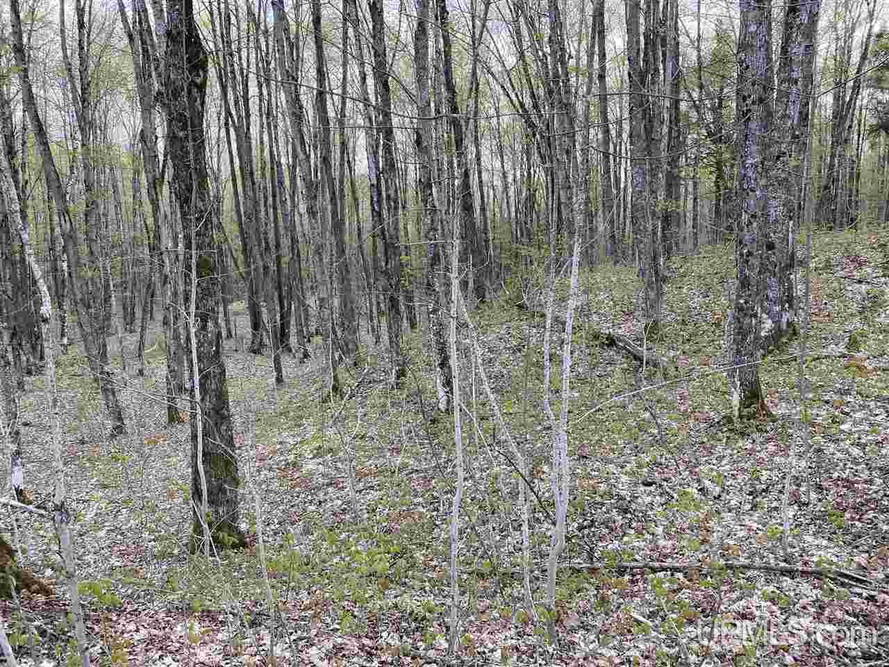 On On Chaney Cove Road, Unit LOT 1 Bessemer, MI 49911 - Photo 12 of 28