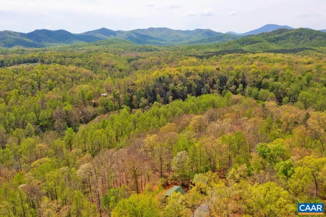 $815,000 | 355 River Bluff Lane, Faber, VA 22938