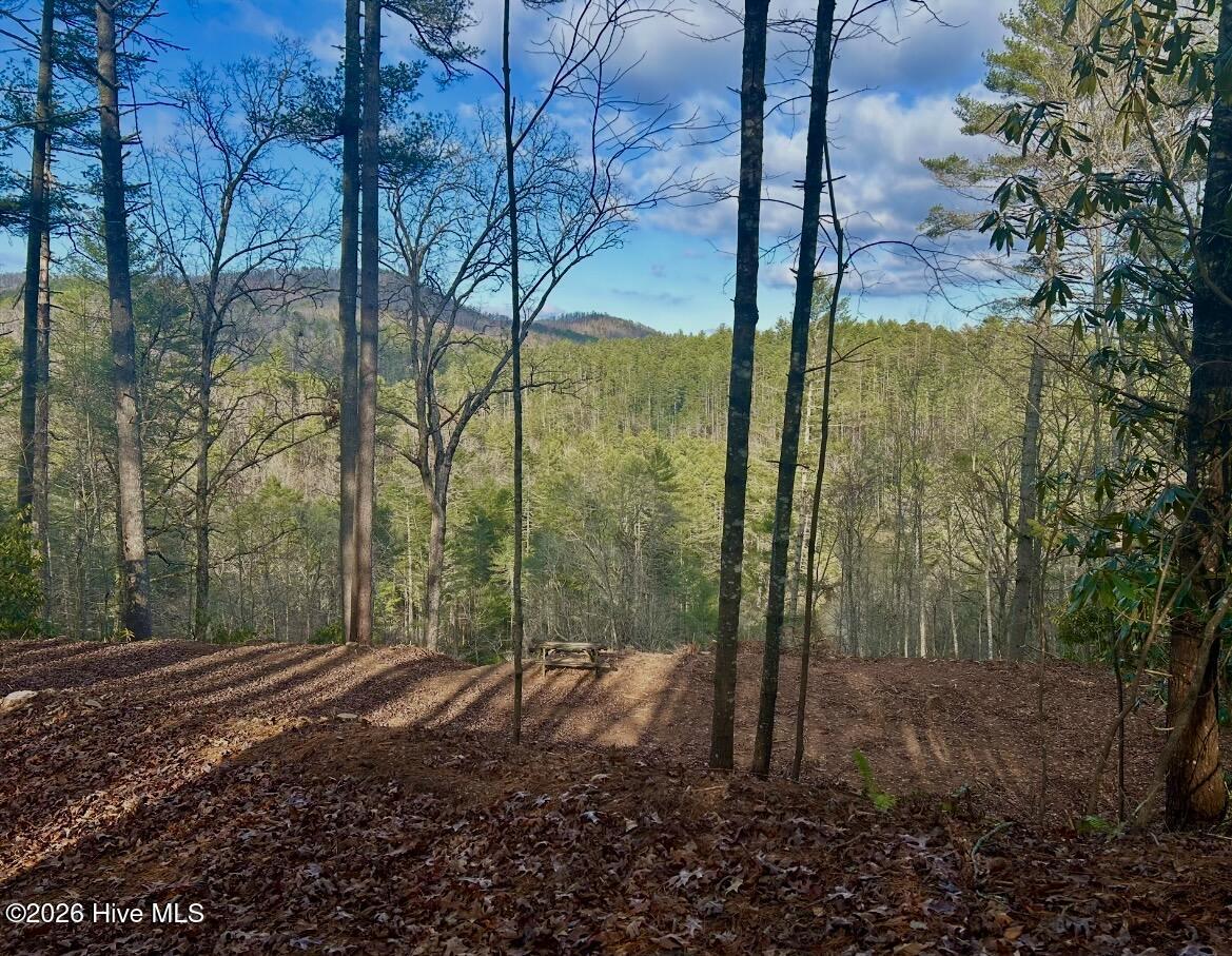 84 Nottley Ridge Road Murphy, NC 28906 - Photo 7 of 14 Gallery Image 7
