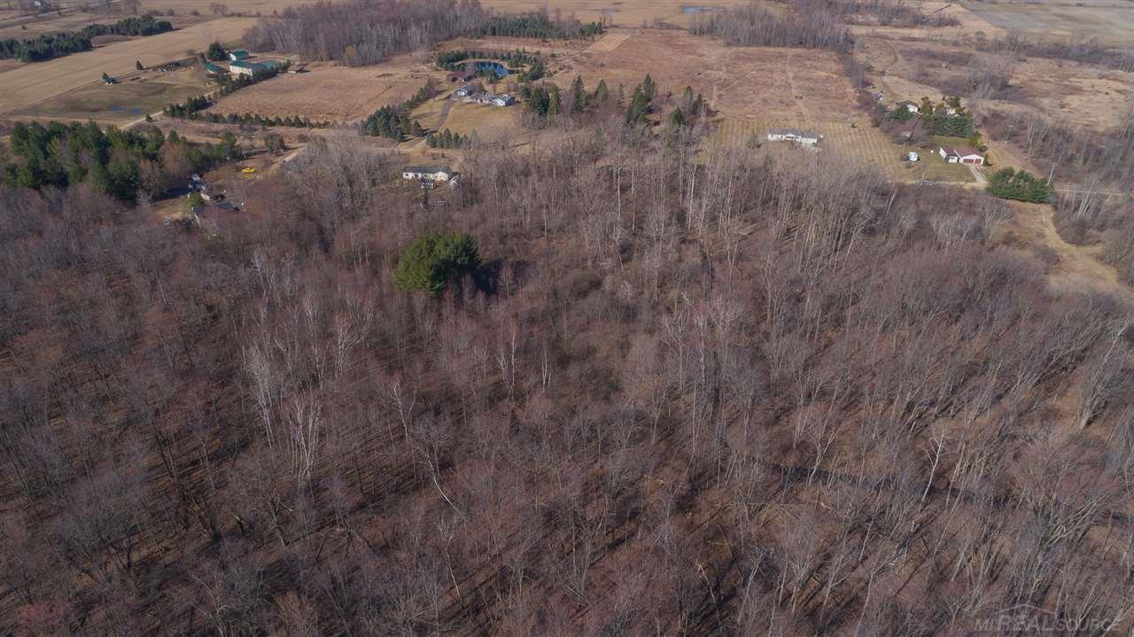 0 Cargill Road Brown City, MI 48416 - Photo 8 of 28 Gallery Image 8