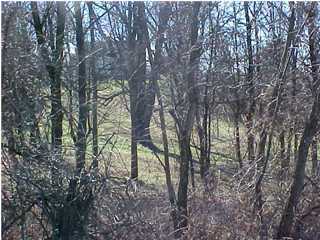 0 Gills Ridge Road Bedford, KY 40006 - Photo 1 of 1 Primary Photo