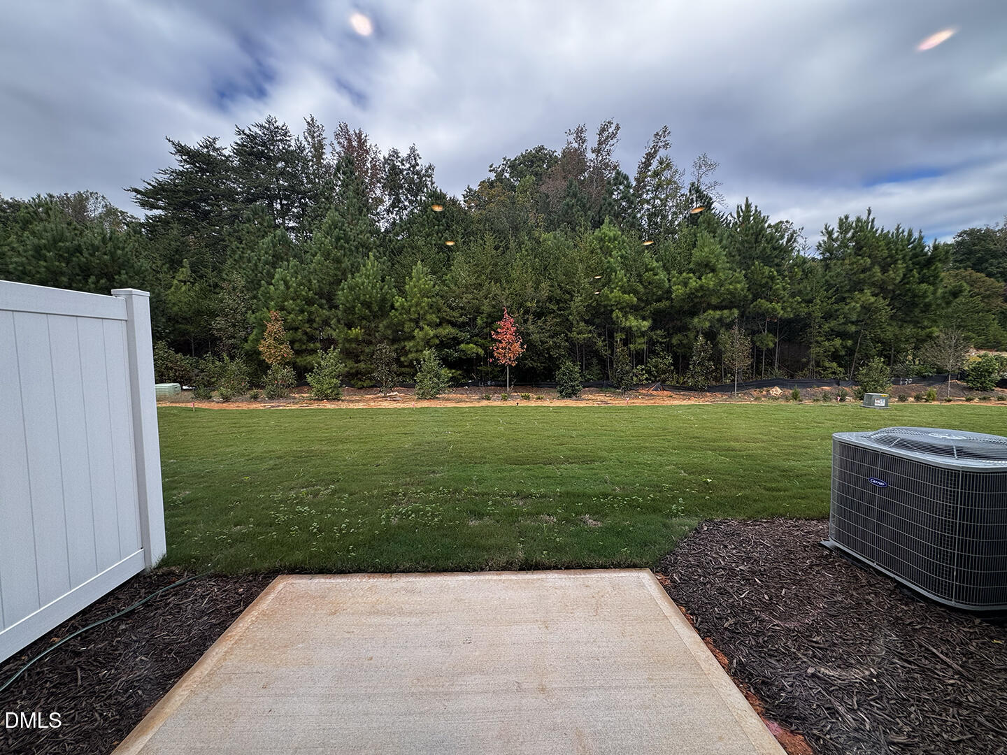 1007 Winding Spg Drive Mebane, NC 27302 - Photo 31 of 32 a view of a garden with large trees