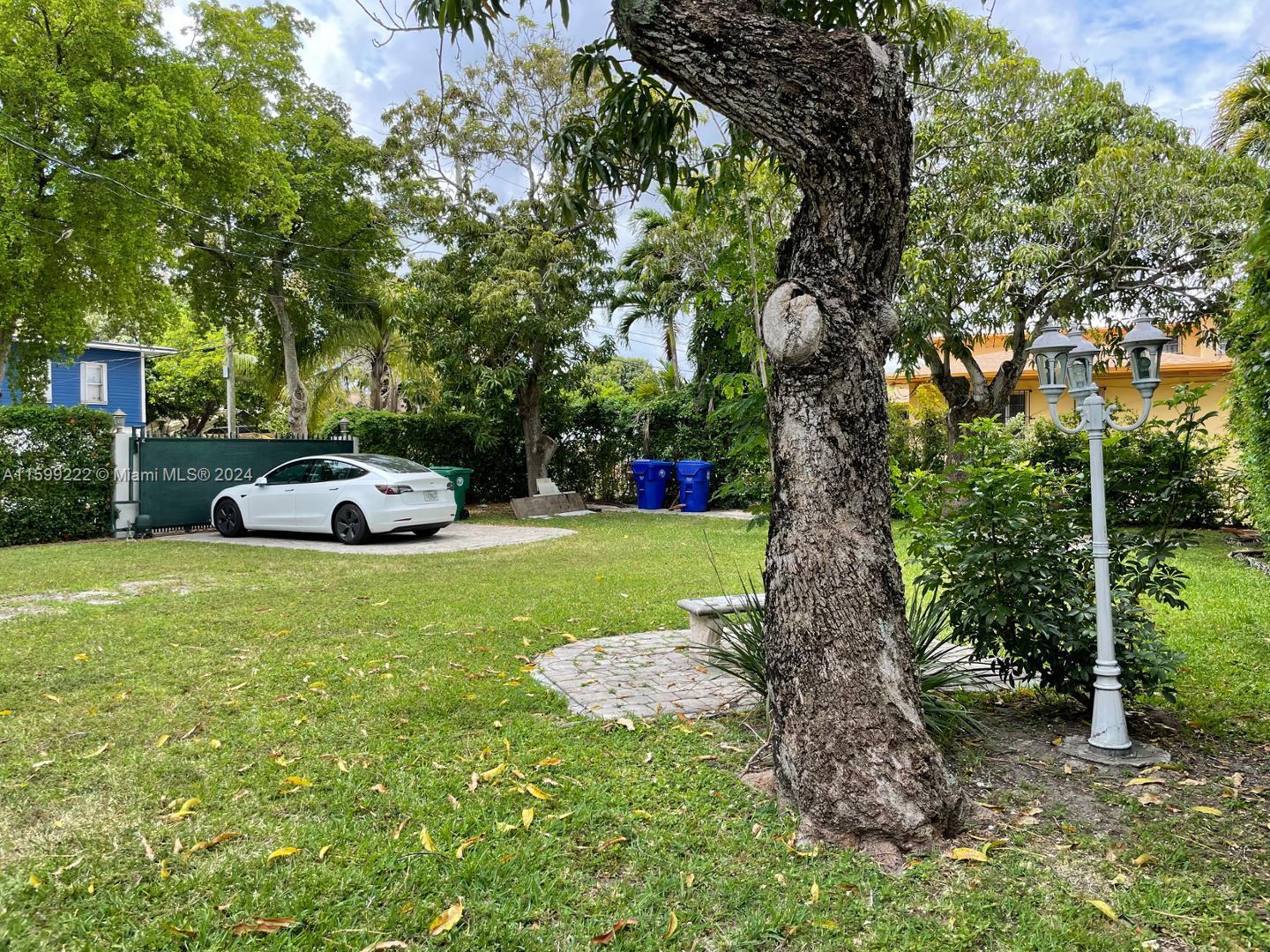 1254 Southwest 13th Street, Unit 1254 Miami, FL 33145 - Photo 2 of 14 a tall tree in middle of green field