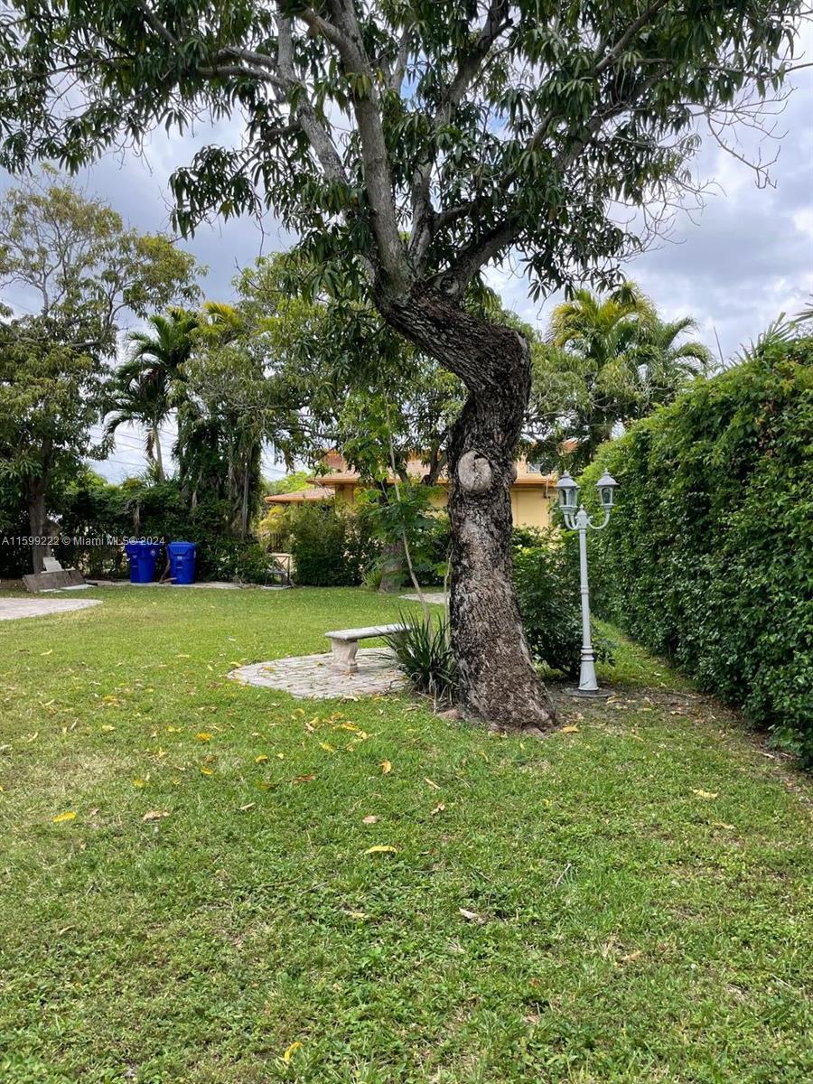 1254 Southwest 13th Street, Unit 1254 Miami, FL 33145 - Photo 4 of 14 a view of green field with trees