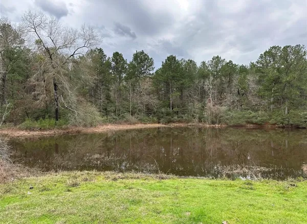 a view of a lake from a yard